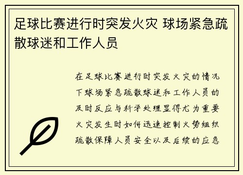 足球比赛进行时突发火灾 球场紧急疏散球迷和工作人员