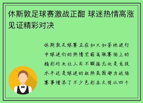 休斯敦足球赛激战正酣 球迷热情高涨见证精彩对决